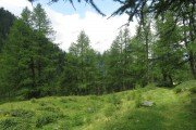 IMG_0025