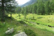IMG_0029