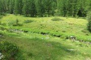 IMG_0030