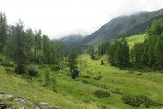 IMG_0036