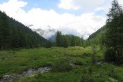 IMG_0037