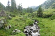IMG_0041
