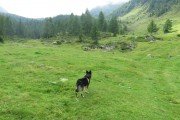 IMG_0050