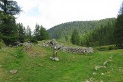 IMG_0052