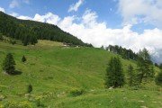 IMG_0055