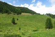 IMG_0058