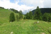 IMG_0060