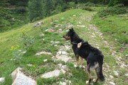 IMG_0065
