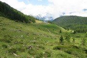 IMG_0067