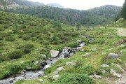 IMG_0071