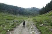 IMG_0076