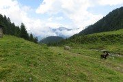 IMG_0080