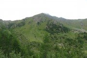 IMG_0089
