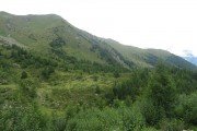 IMG_0094