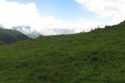 IMG_0101