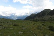 IMG_0131
