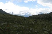 IMG_0135