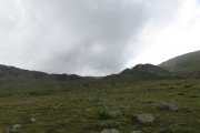 IMG_0139