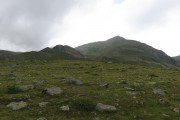 IMG_0142