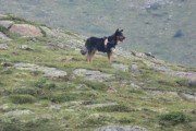 IMG_0152