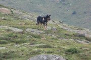 IMG_0154