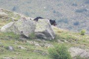 IMG_0155