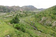 IMG_0158