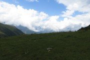 IMG_0160