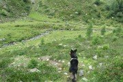 IMG_0163