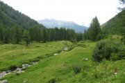 IMG_0175