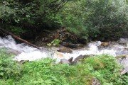 IMG_0180