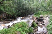 IMG_0182
