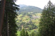 IMG_0184