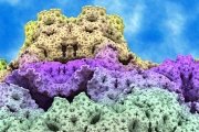 CoralMountain