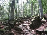 IMG_0002