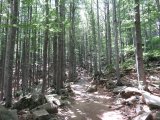 IMG_0004