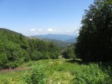 IMG_0008