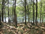 IMG_0010