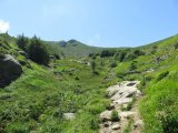 IMG_0031