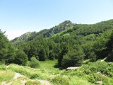 IMG_0033
