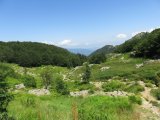 IMG_0034