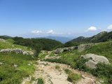 IMG_0040