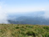 IMG_0071