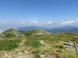 IMG_0079