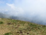 IMG_0084