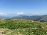 IMG_0098