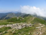 IMG_0102
