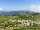 IMG_0105