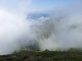 IMG_0111