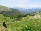 IMG_0118